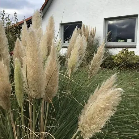 Strandhaus Wackerballig Gelting